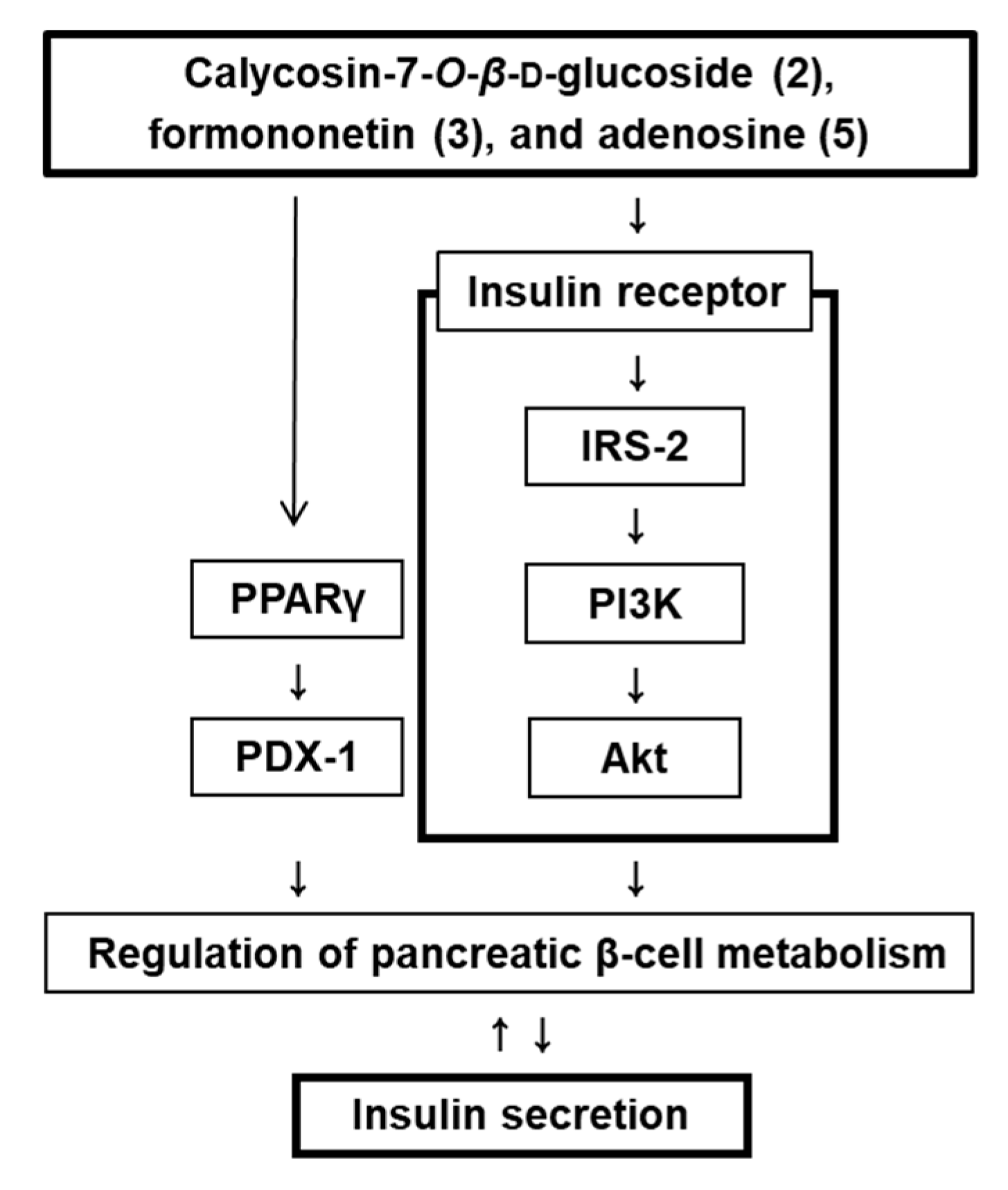 Biomolecules 09 00618 g005 Biomolecules 09 00618 g005