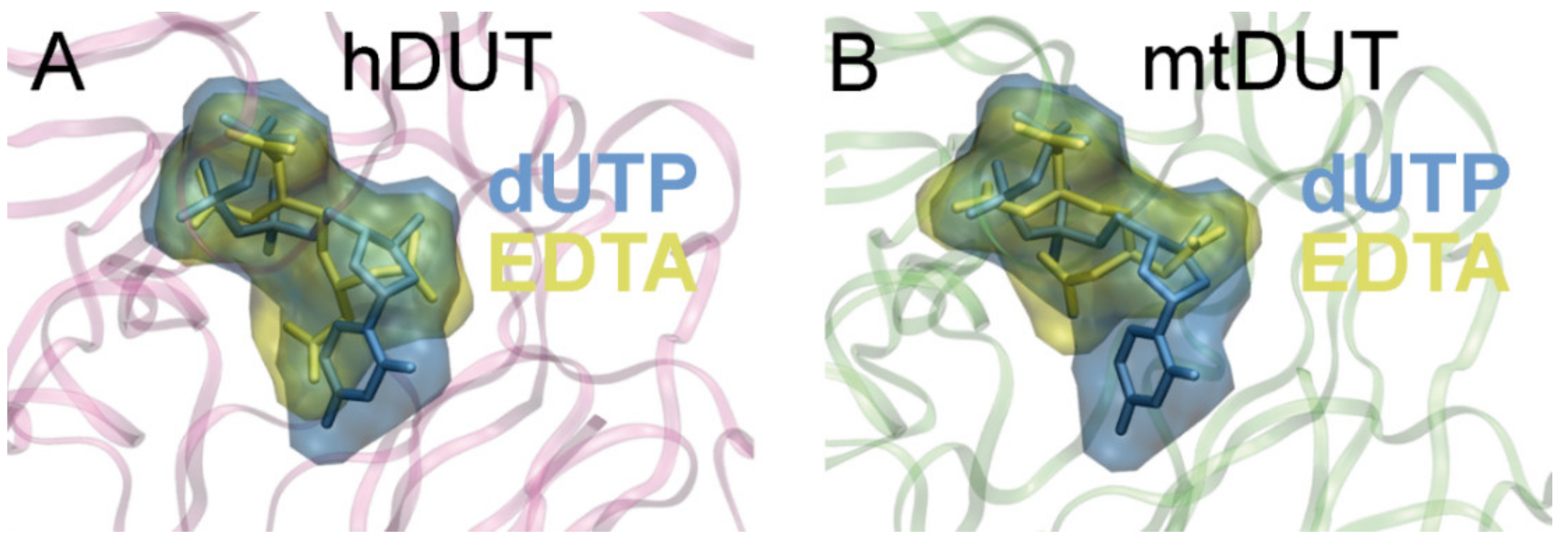 Biomolecules 09 00621 g004