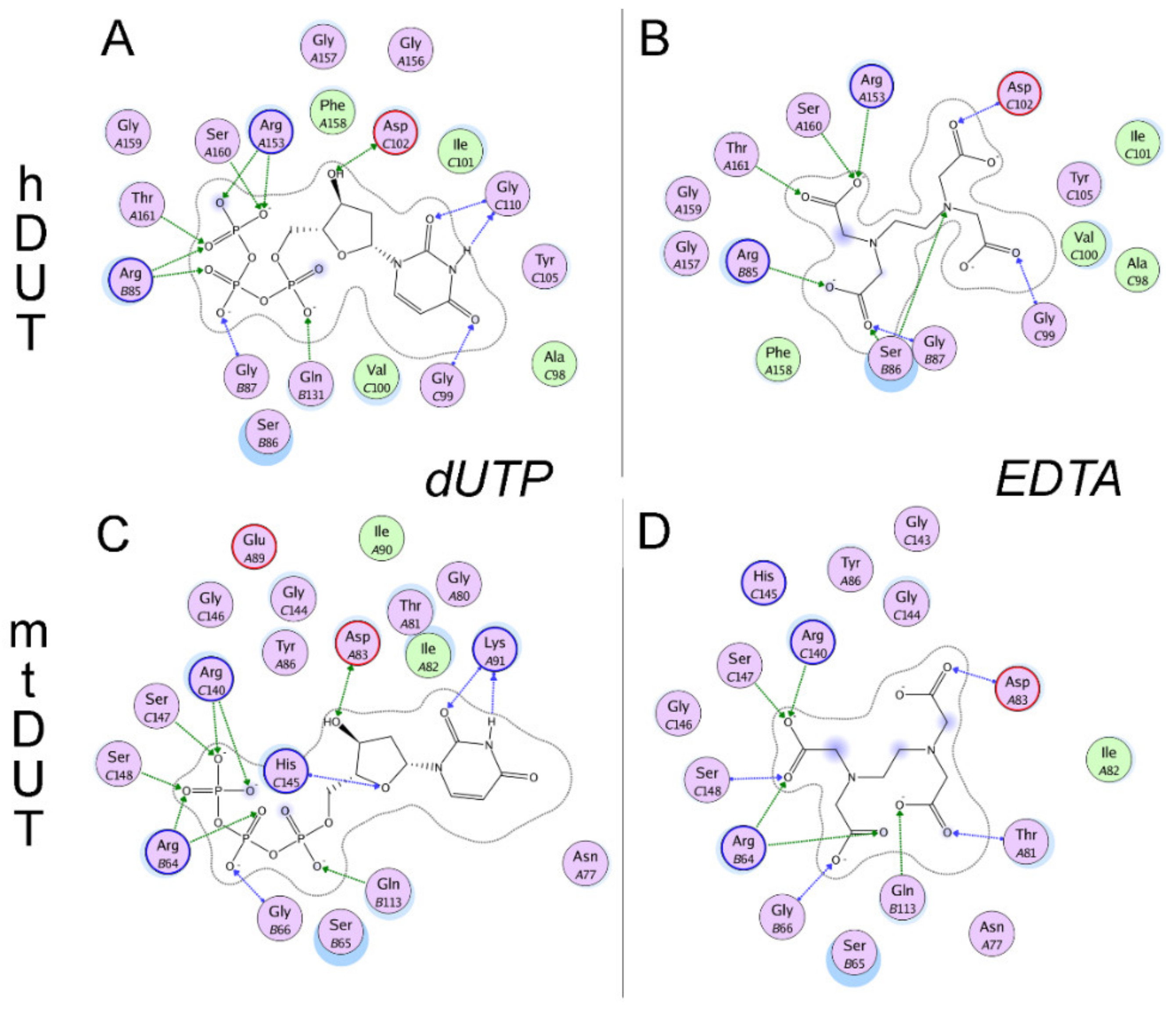 Biomolecules 09 00621 g005