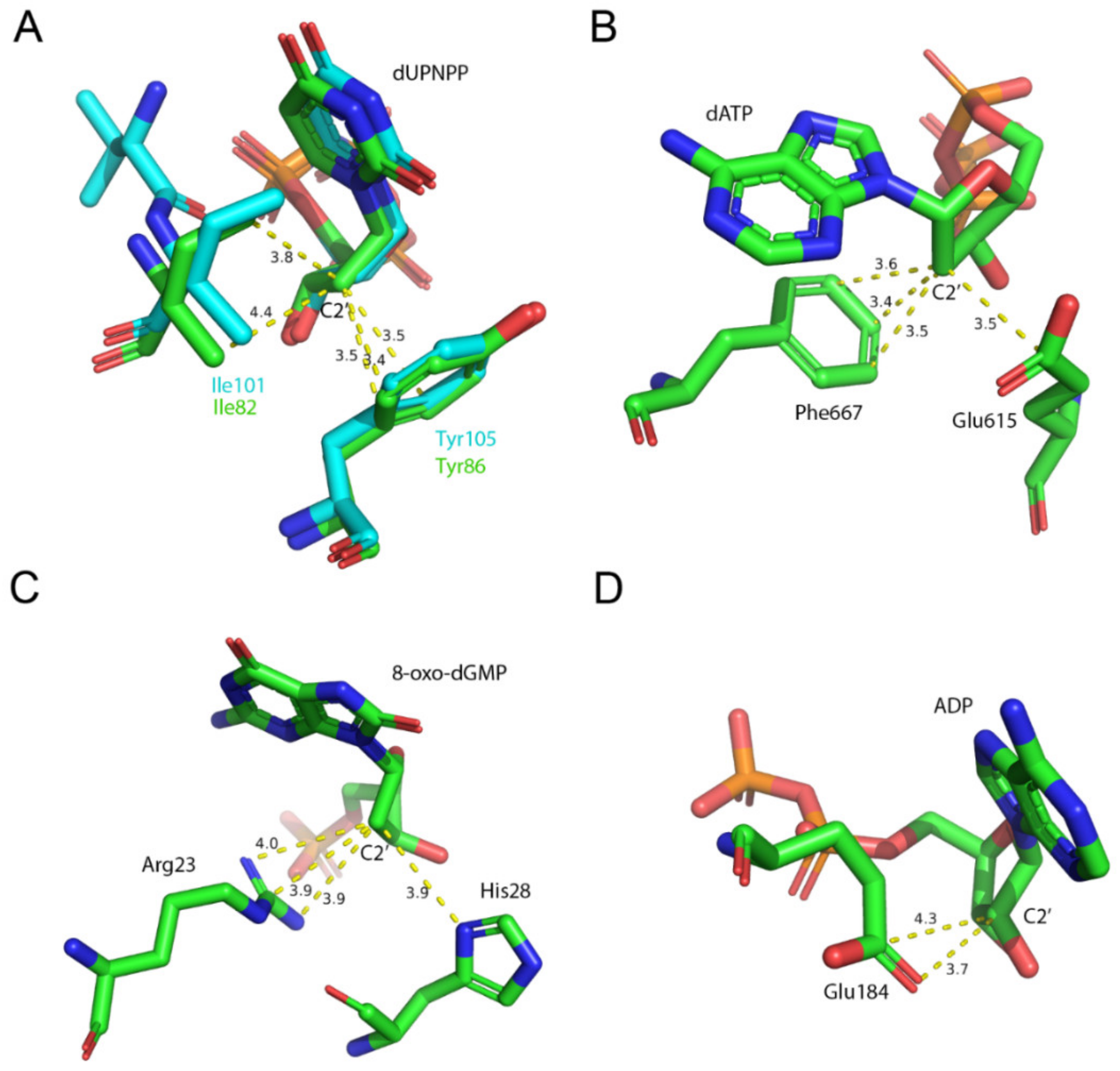 Biomolecules 09 00621 g009
