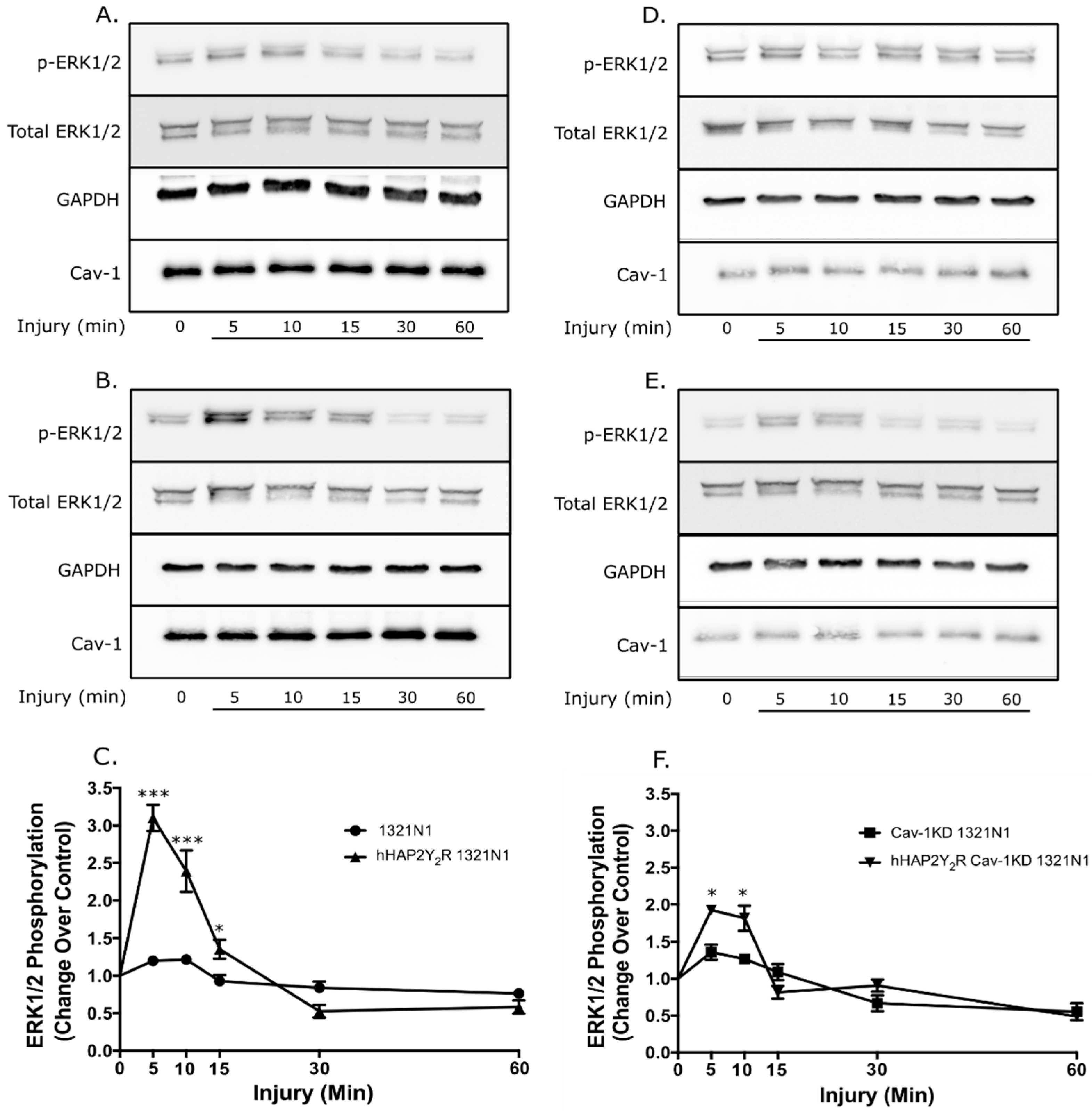 Biomolecules 09 00622 g002