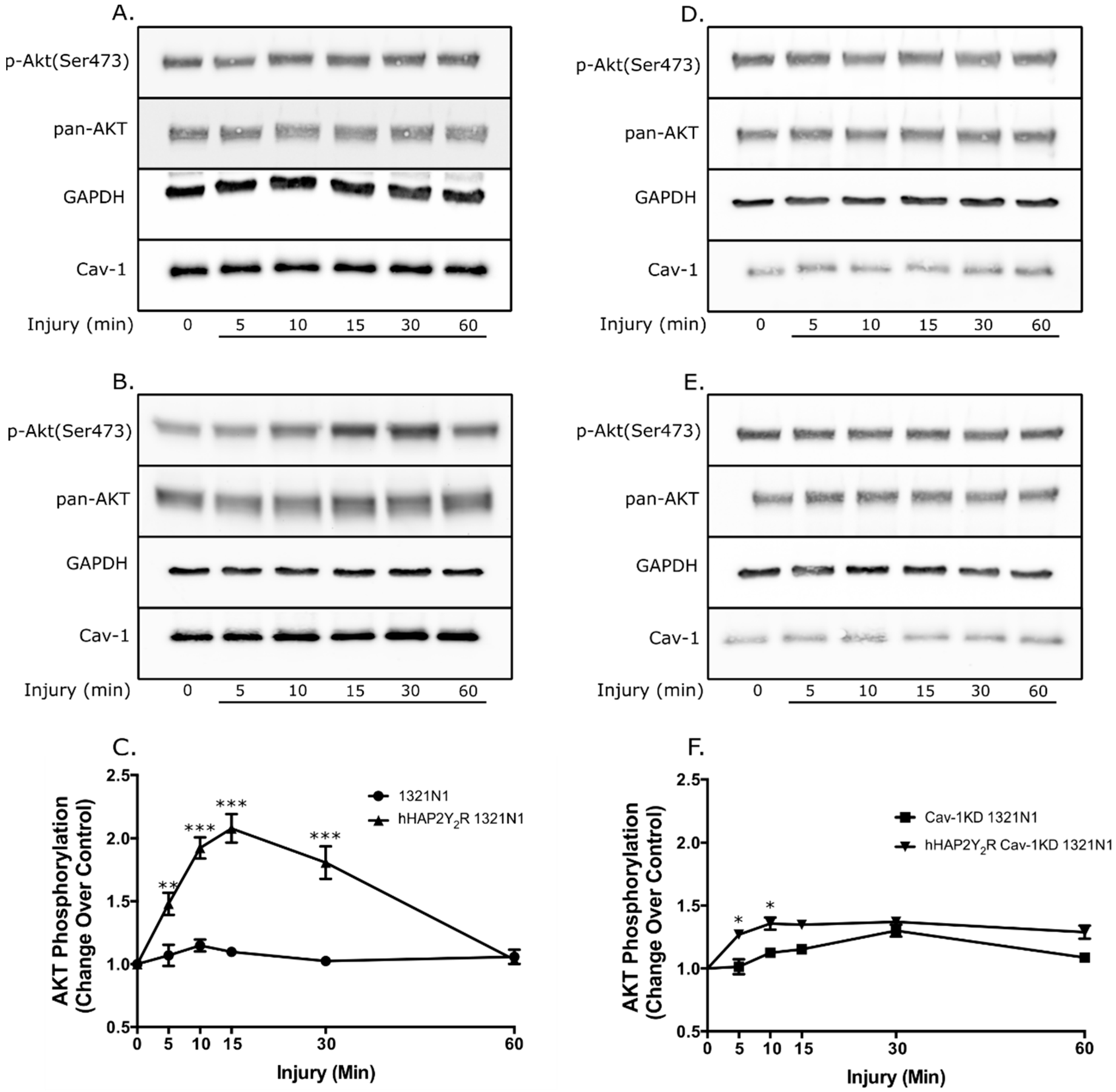 Biomolecules 09 00622 g003