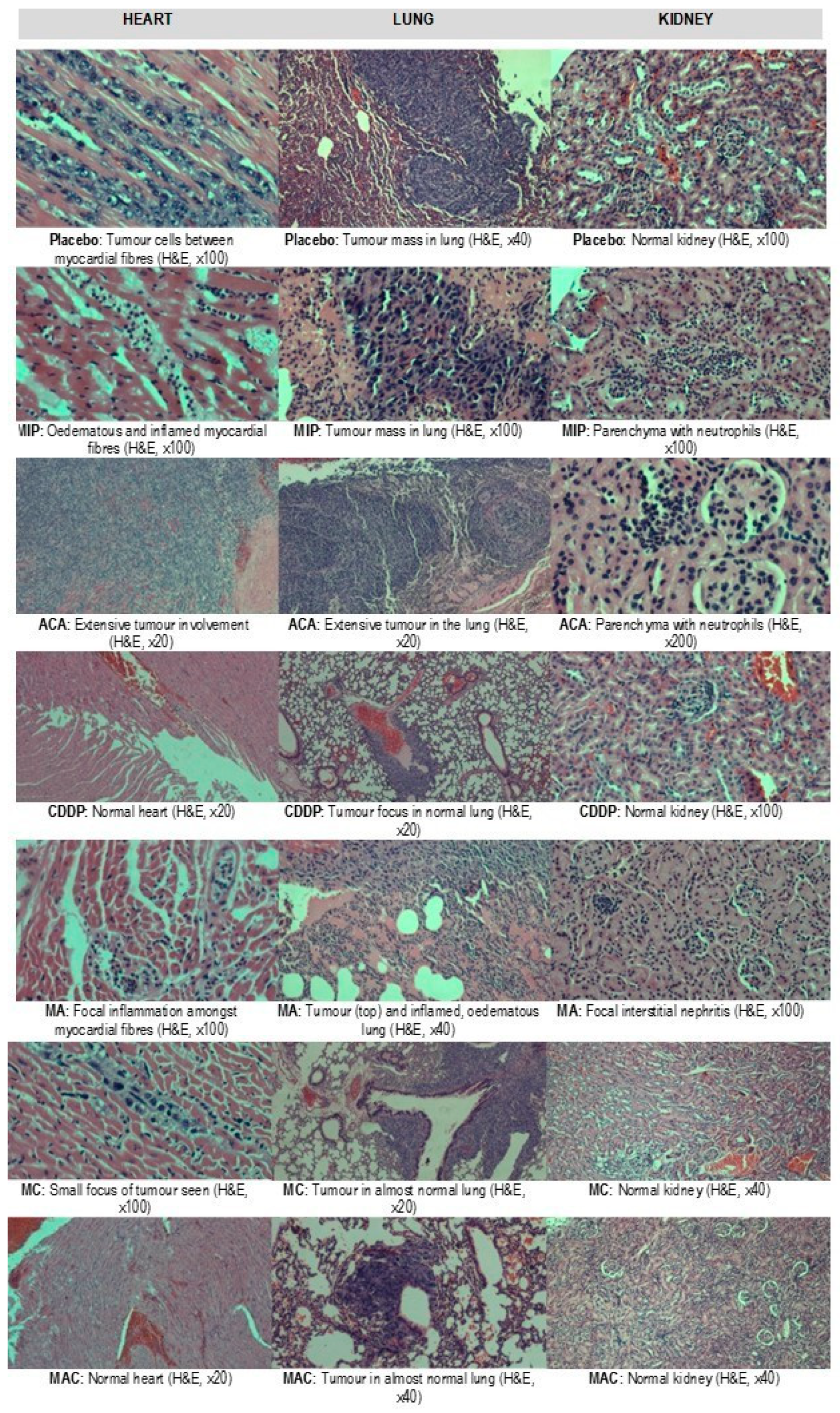 Biomolecules 09 00626 g002