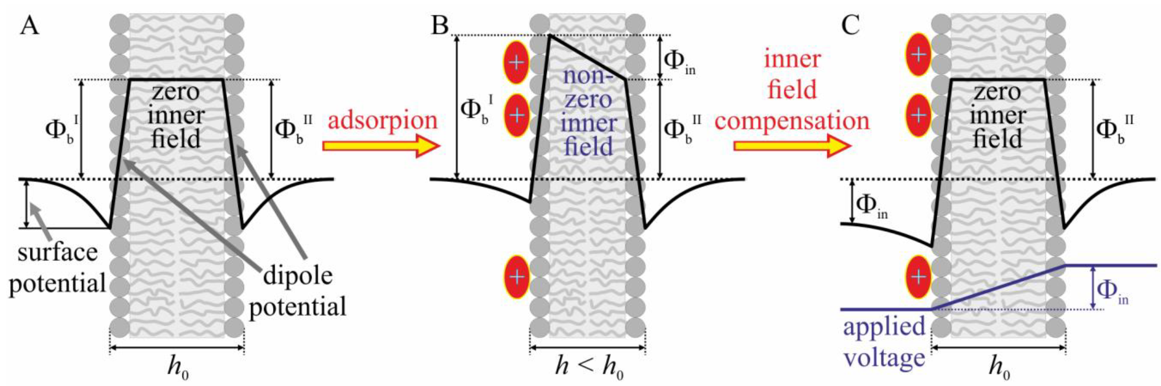 Biomolecules 09 00627 g002 Biomolecules 09 00627 g002