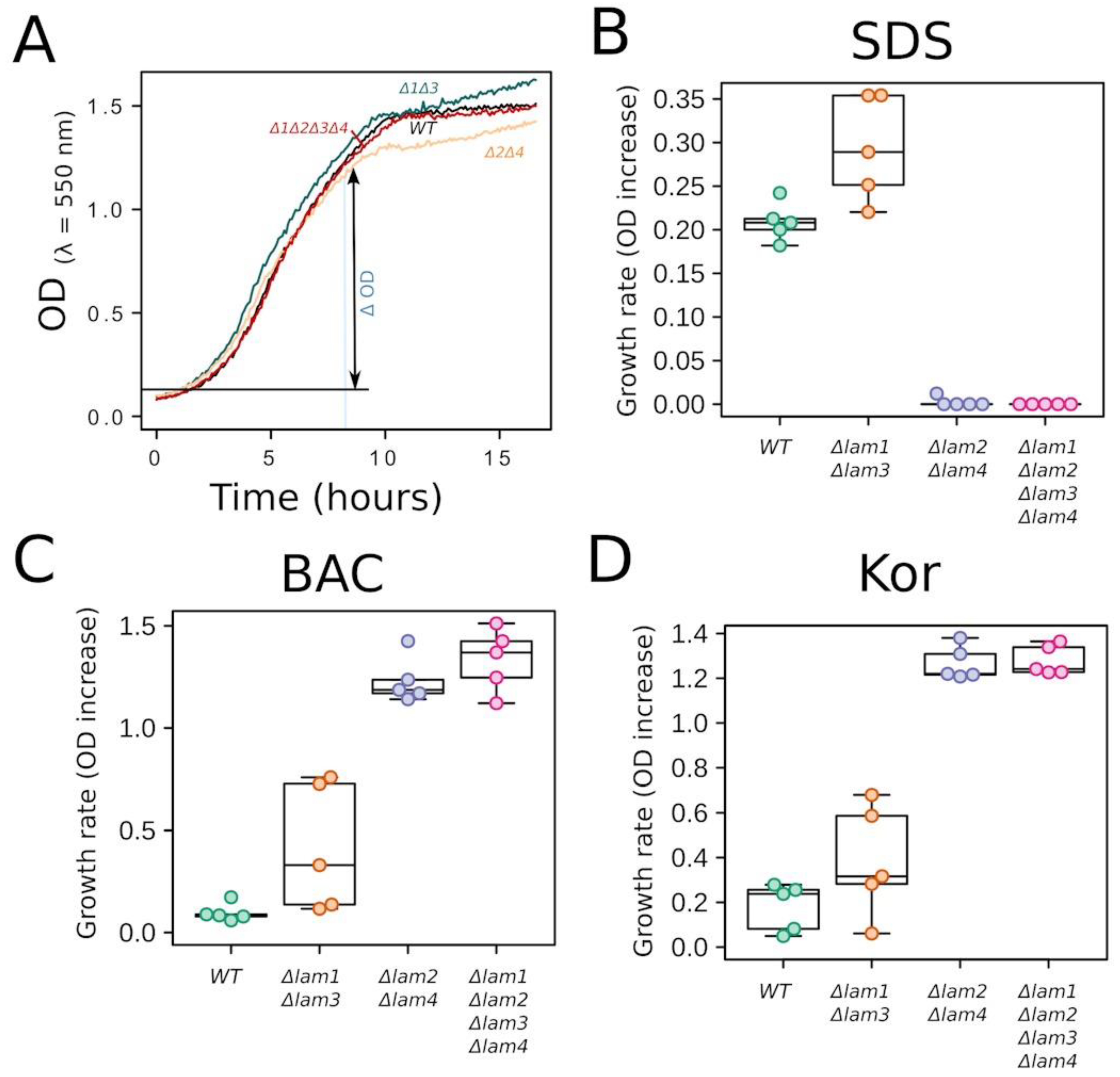 Biomolecules 09 00627 g011 Biomolecules 09 00627 g011