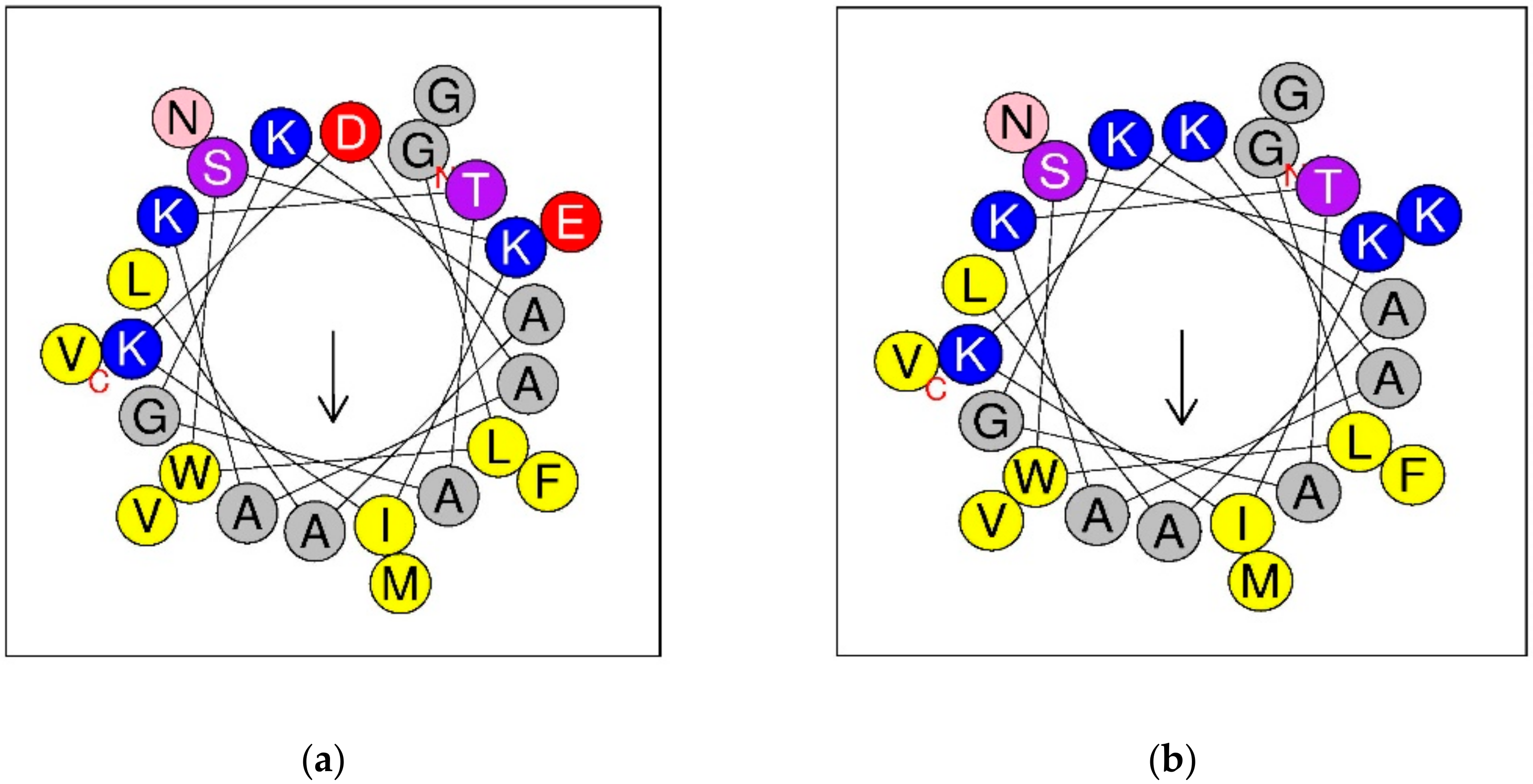 Biomolecules 09 00628 g004