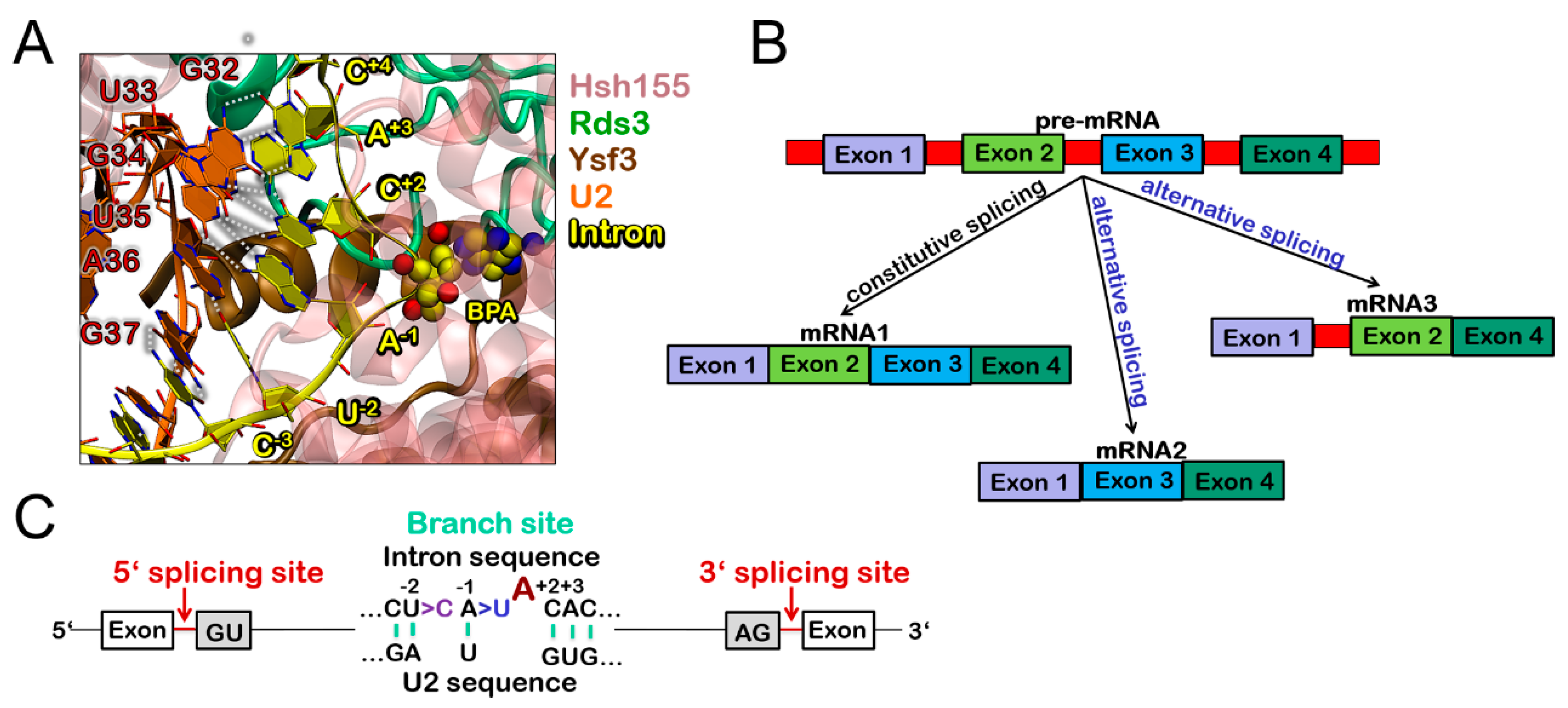 Biomolecules 09 00633 g001