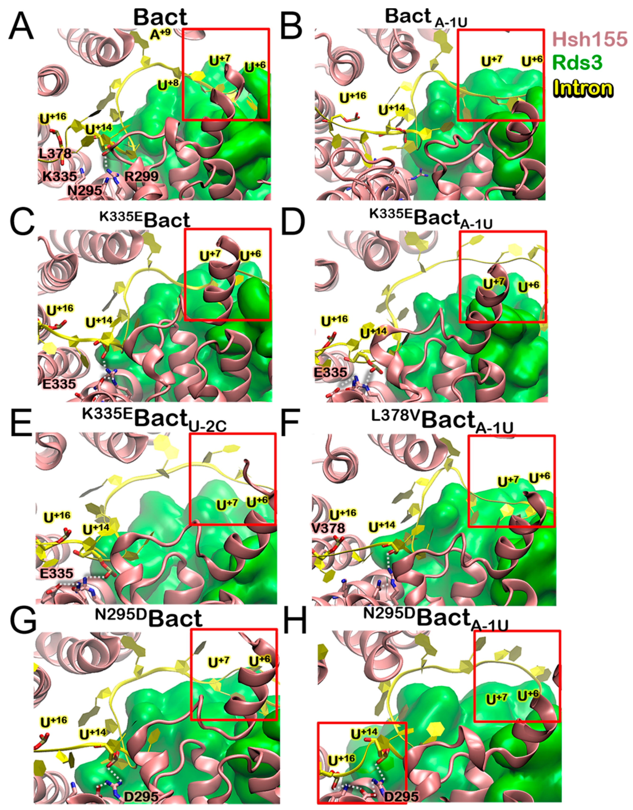 Biomolecules 09 00633 g004