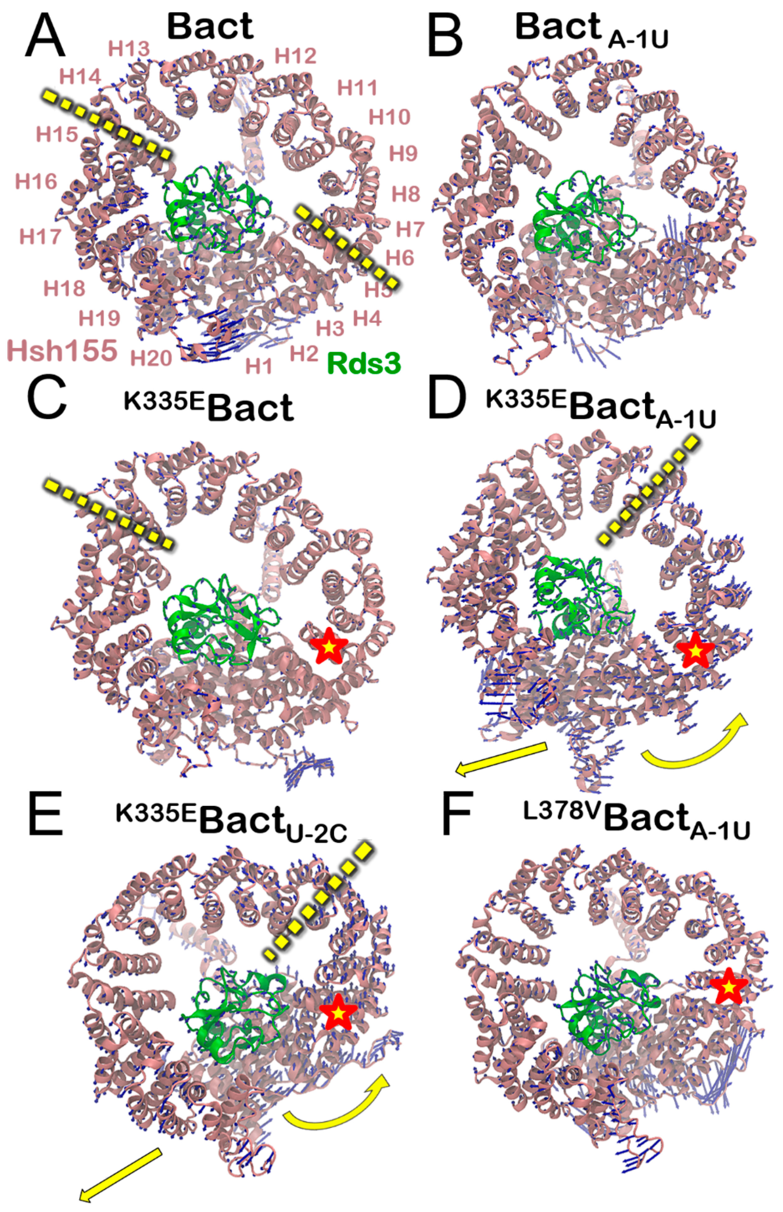 Biomolecules 09 00633 g005