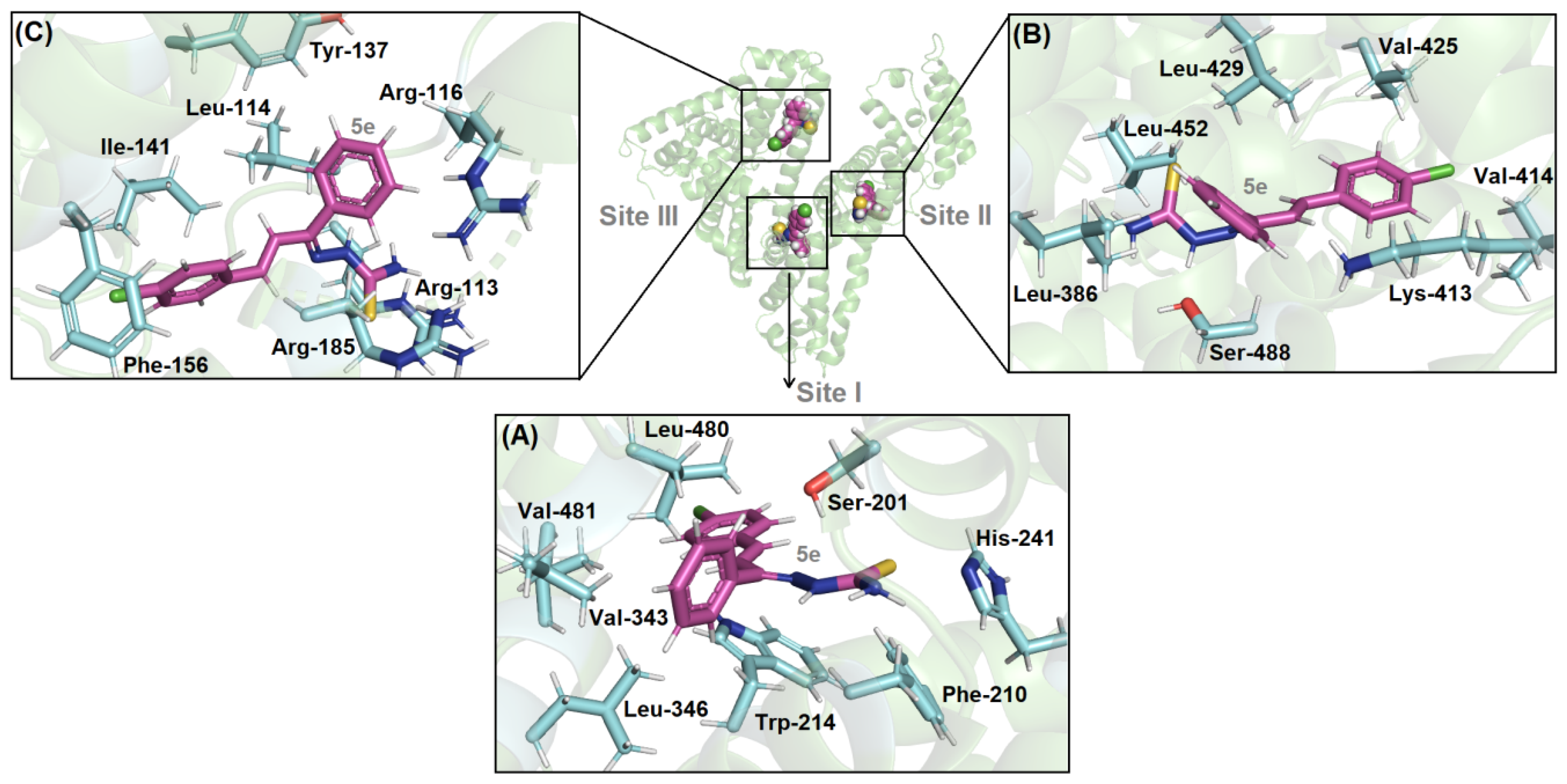 Biomolecules 09 00643 g008 Biomolecules 09 00643 g008
