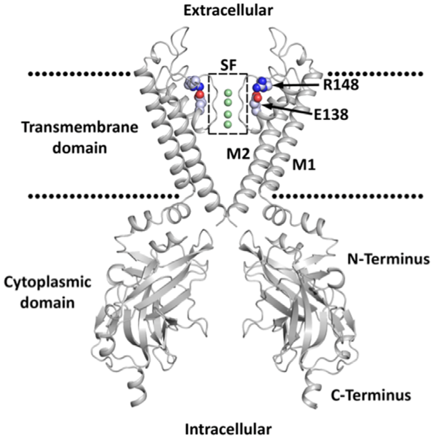 Biomolecules 09 00650 g001