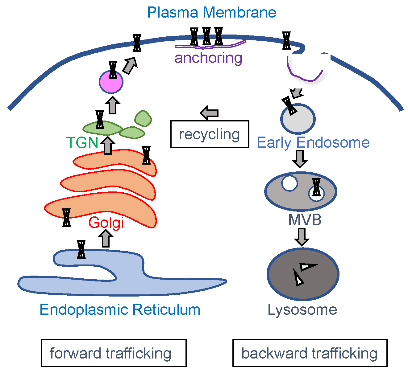 Biomolecules 09 00650 g002