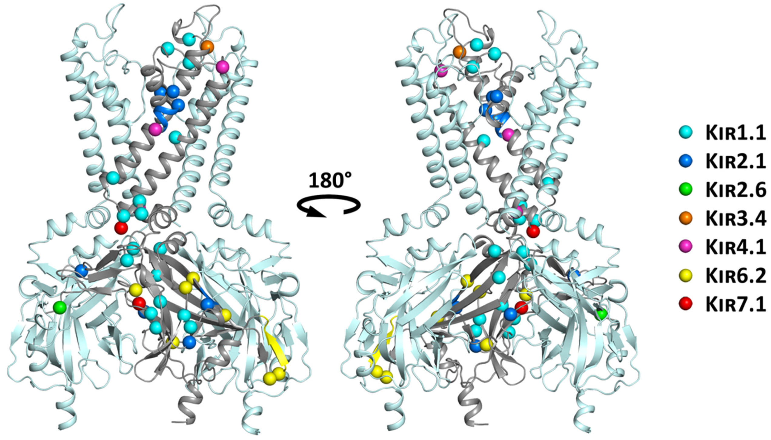 Biomolecules 09 00650 g006
