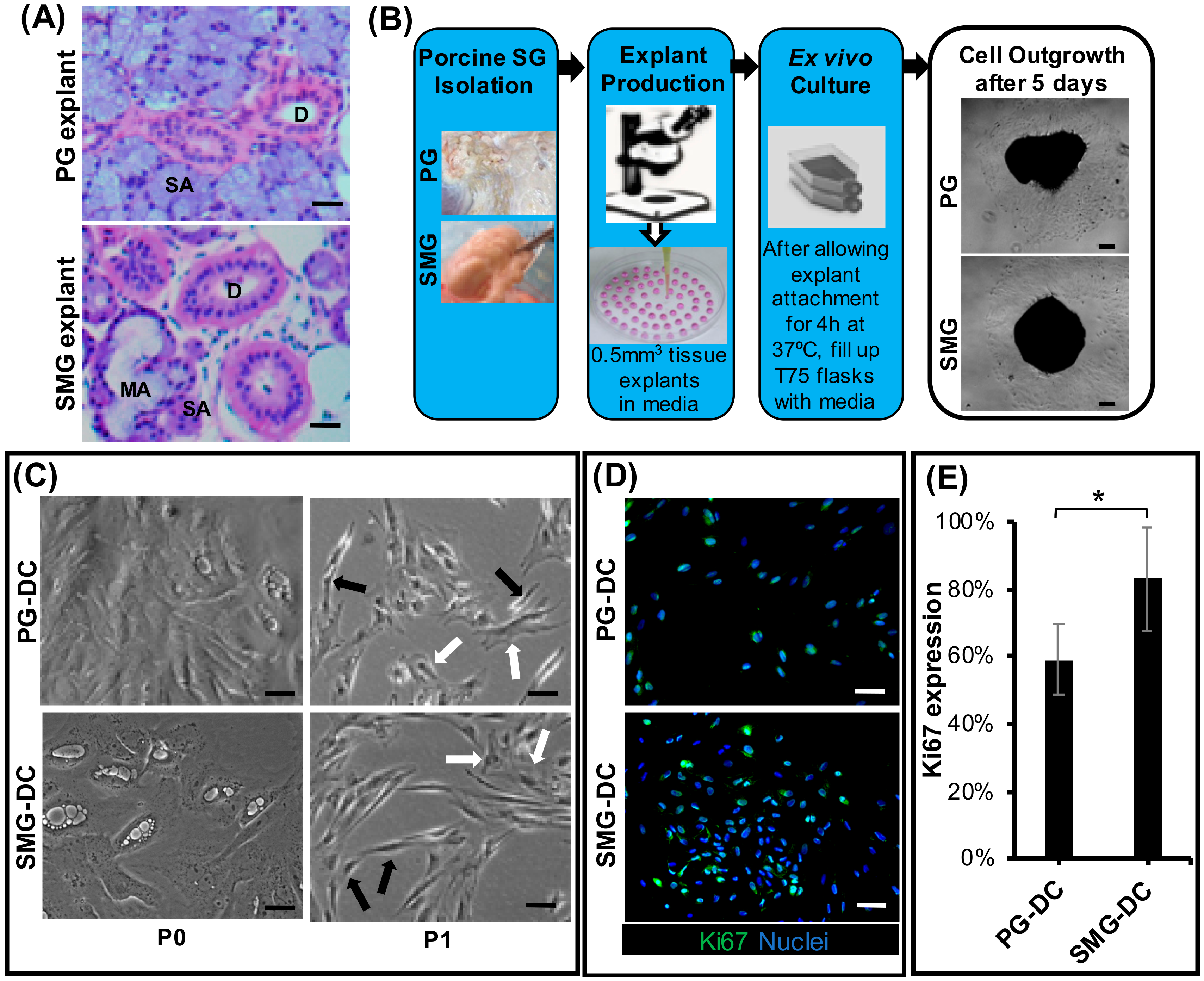 Biomolecules 09 00657 g001