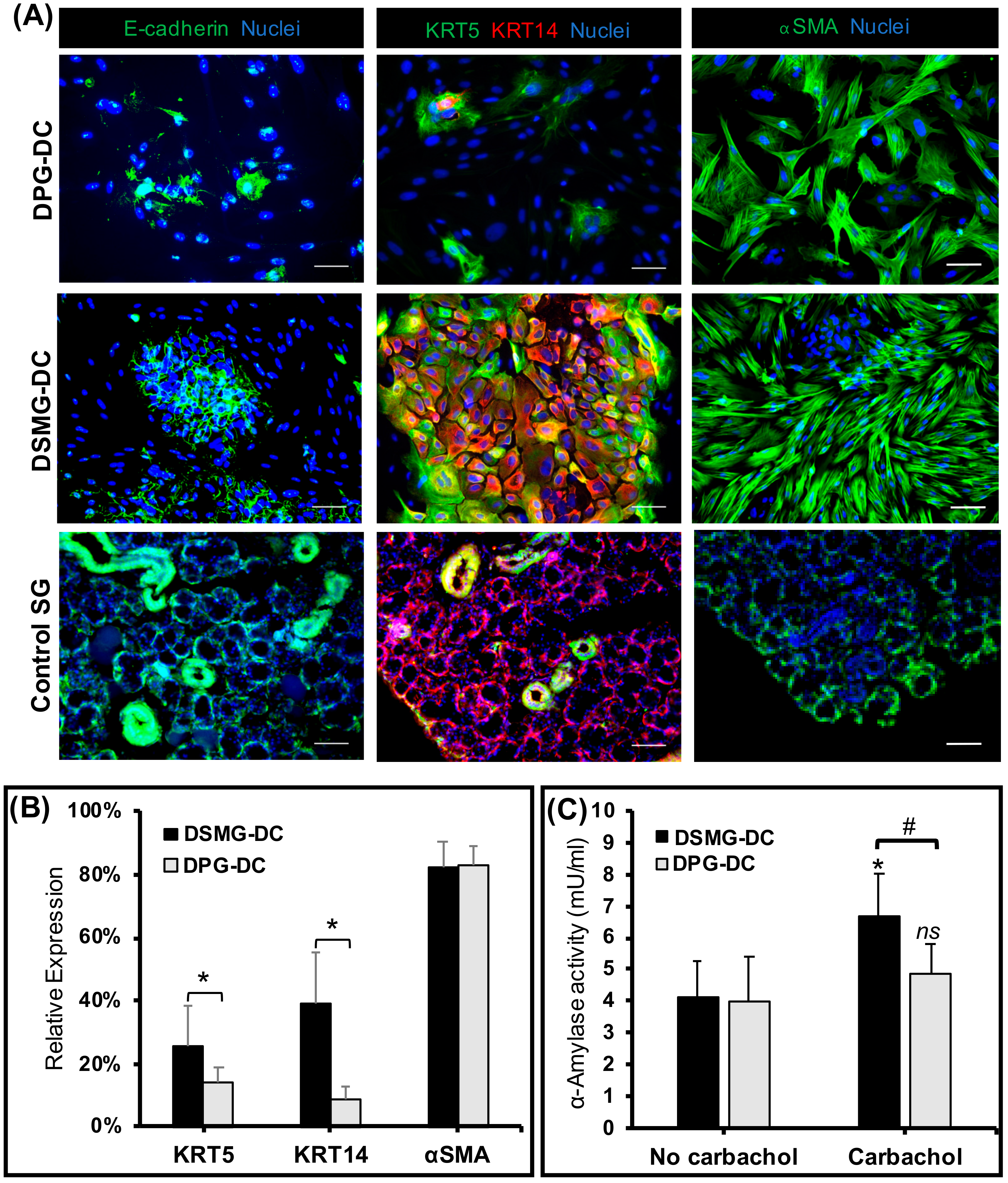 Biomolecules 09 00657 g003