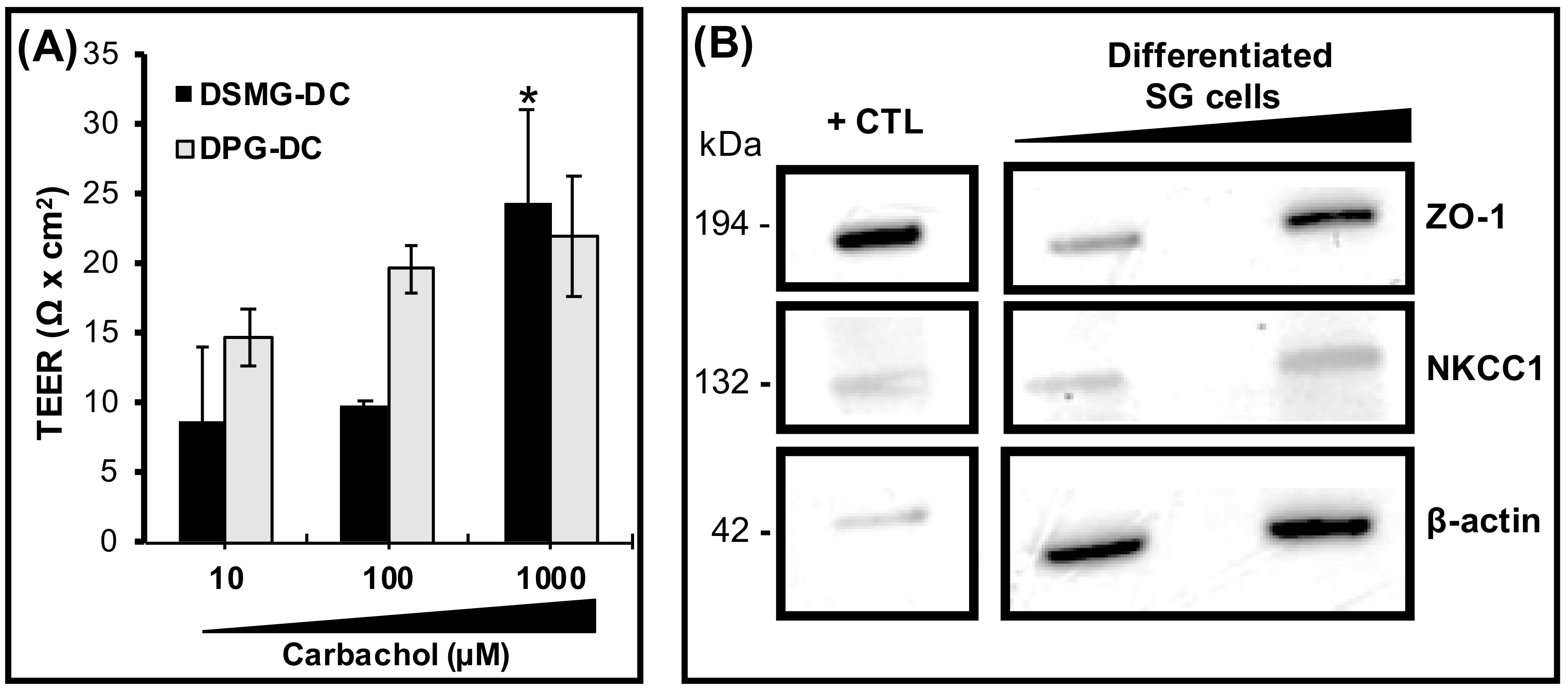 Biomolecules 09 00657 g004