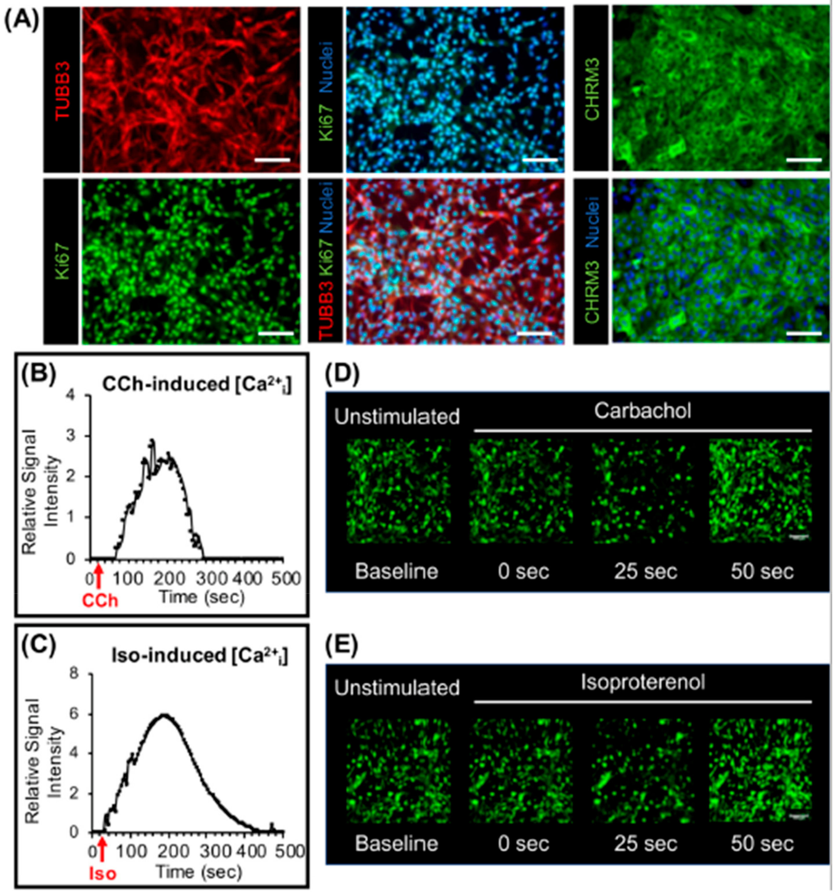 Biomolecules 09 00657 g005