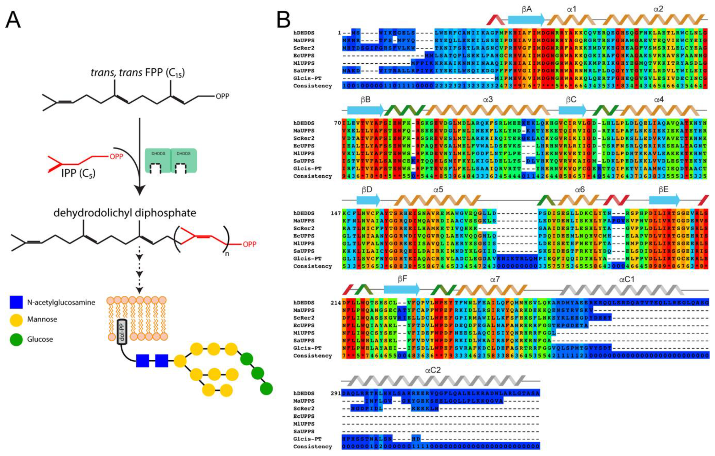 Biomolecules 09 00660 g001 Biomolecules 09 00660 g001