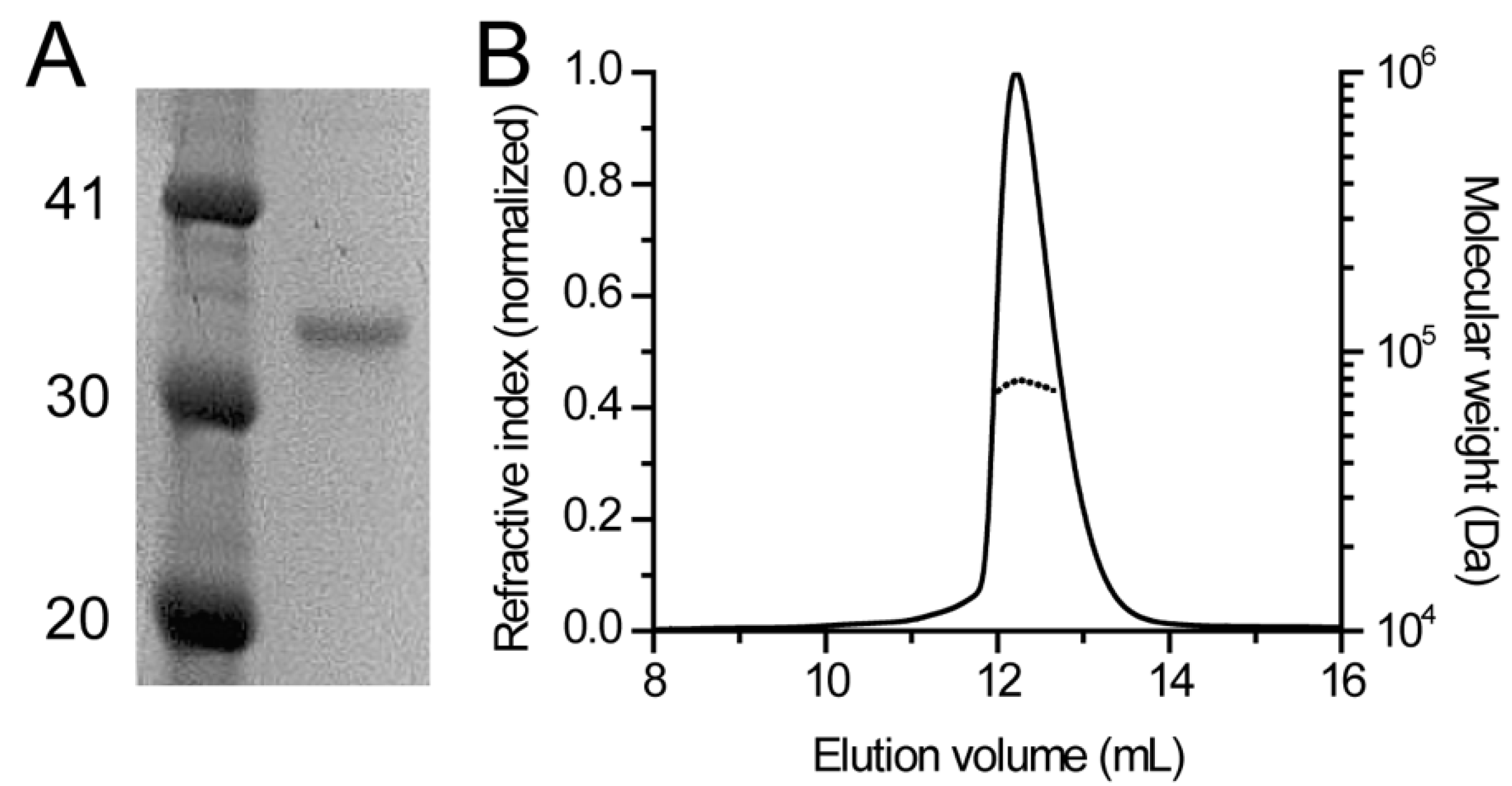 Biomolecules 09 00660 g002 Biomolecules 09 00660 g002