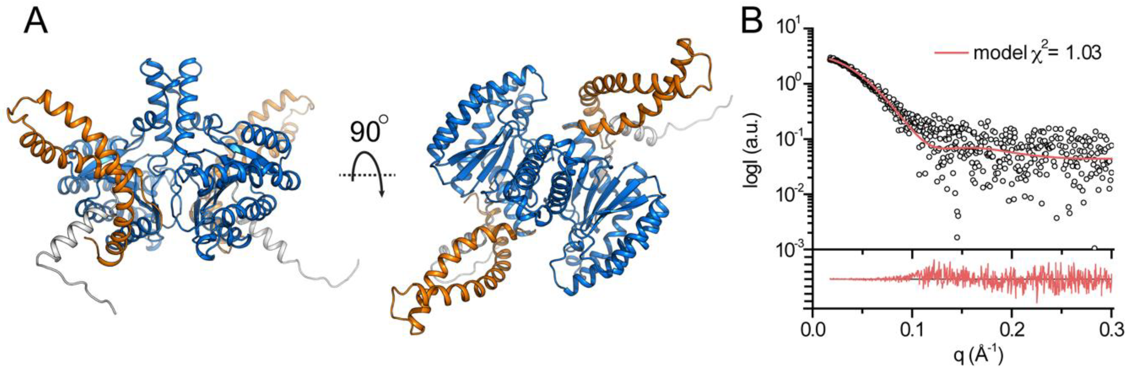 Biomolecules 09 00660 g005 Biomolecules 09 00660 g005