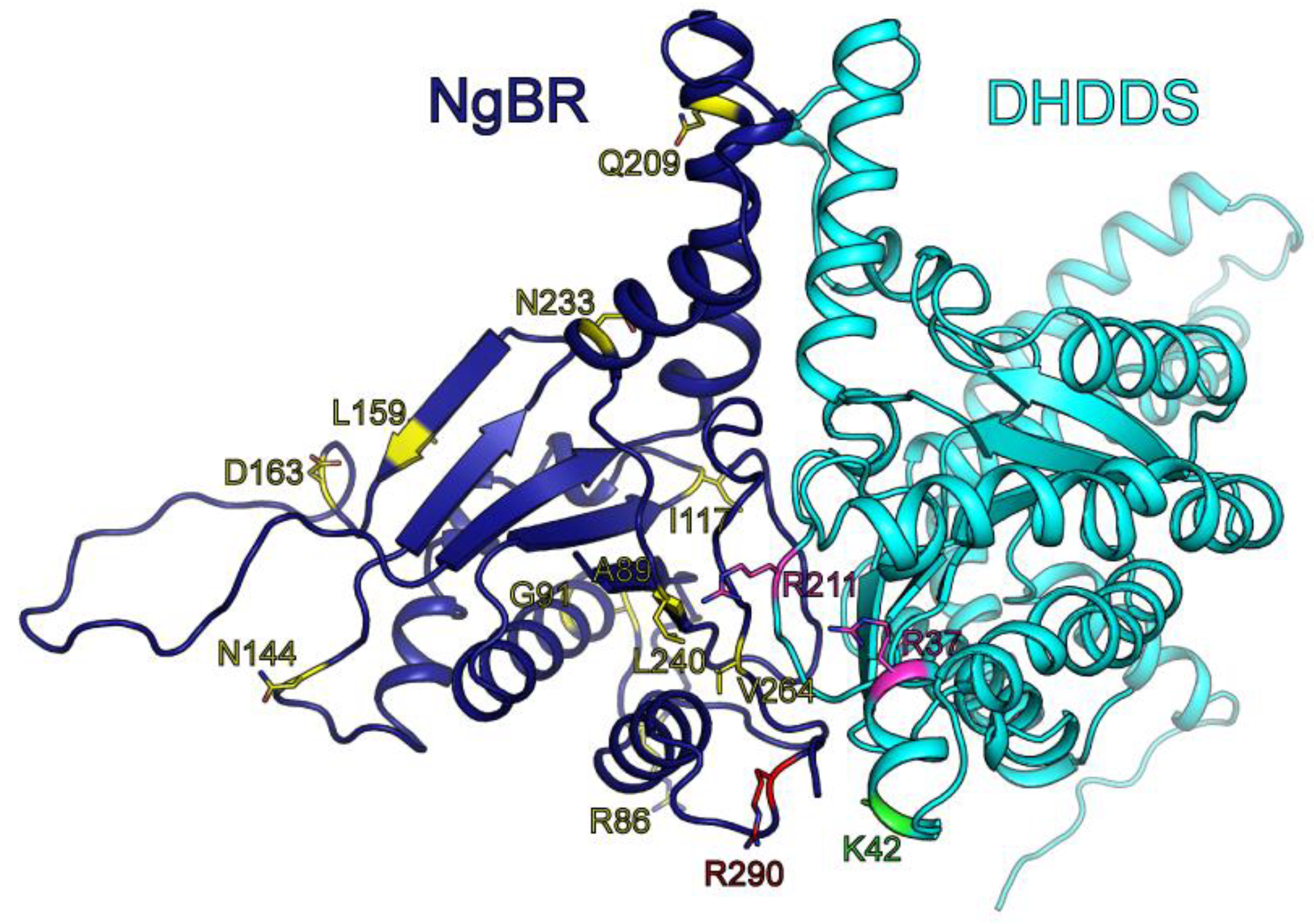 Biomolecules 09 00660 g007 Biomolecules 09 00660 g007
