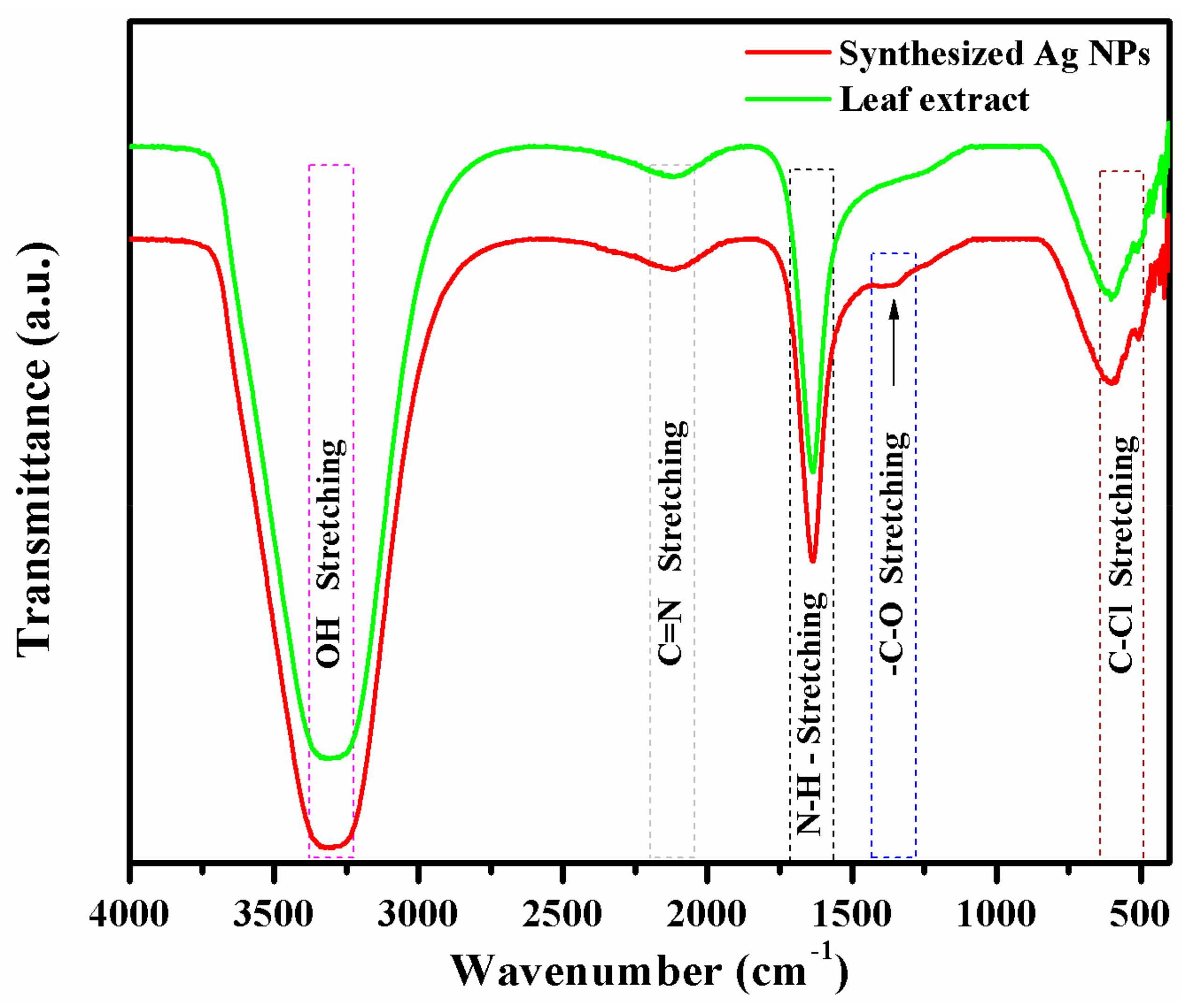 Biomolecules 09 00662 g003
