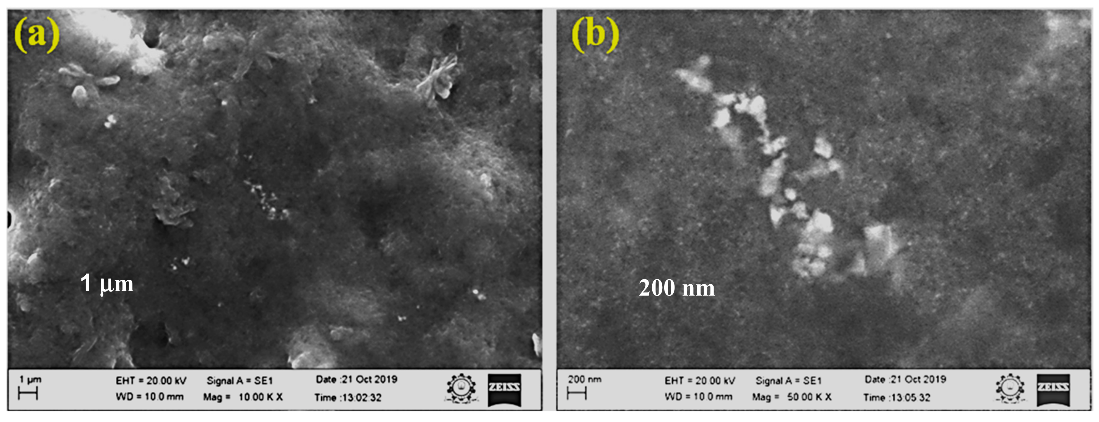 Biomolecules 09 00662 g005