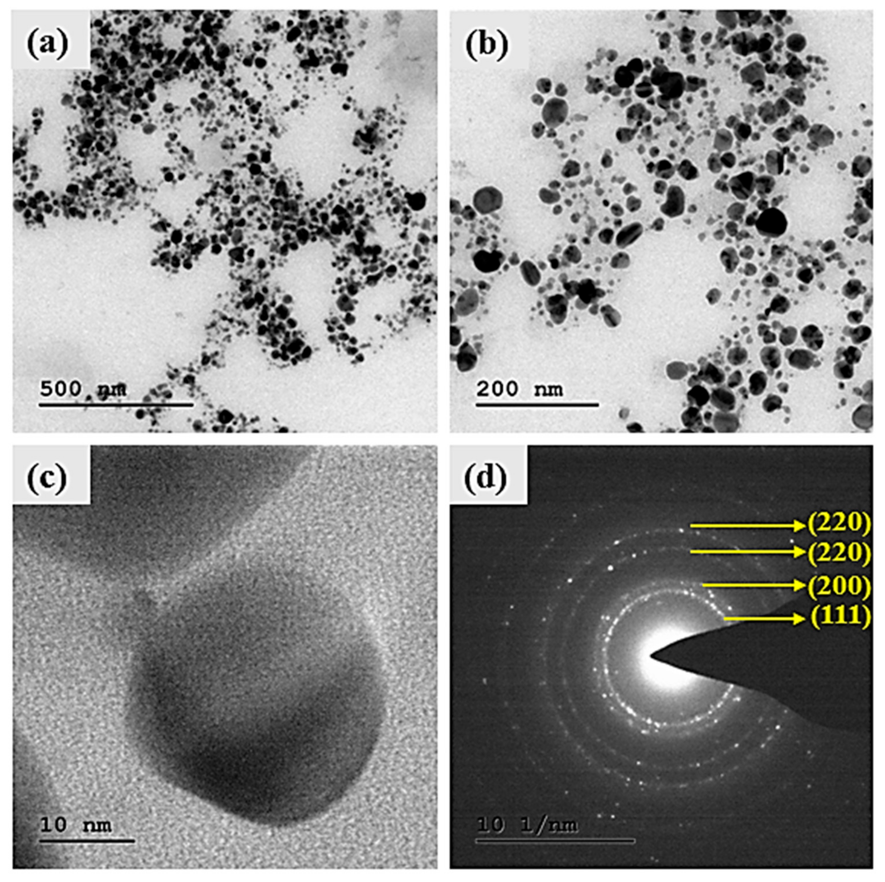 Biomolecules 09 00662 g006