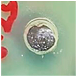 Biomolecules 09 00662 i001