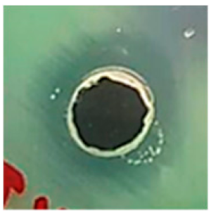 Biomolecules 09 00662 i002