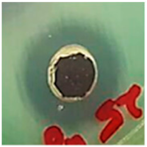 Biomolecules 09 00662 i003