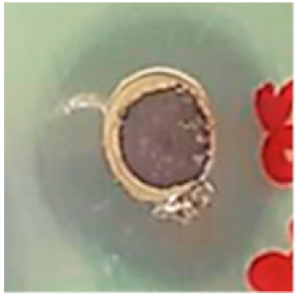 Biomolecules 09 00662 i004