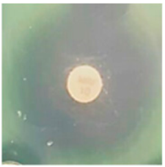 Biomolecules 09 00662 i006