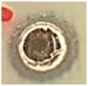 Biomolecules 09 00662 i007