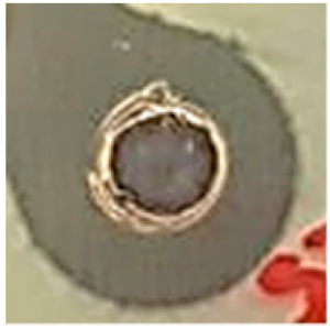 Biomolecules 09 00662 i009