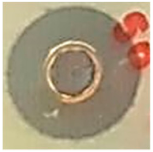 Biomolecules 09 00662 i010