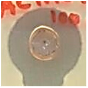 Biomolecules 09 00662 i011