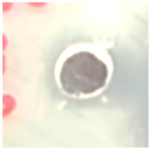 Biomolecules 09 00662 i013