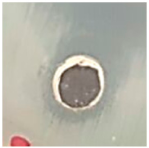 Biomolecules 09 00662 i014