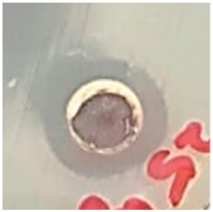 Biomolecules 09 00662 i015