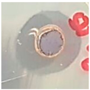 Biomolecules 09 00662 i016