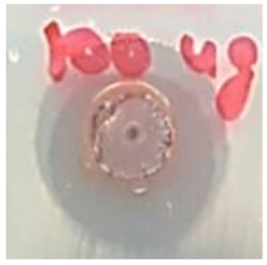 Biomolecules 09 00662 i017