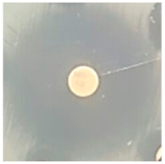 Biomolecules 09 00662 i018