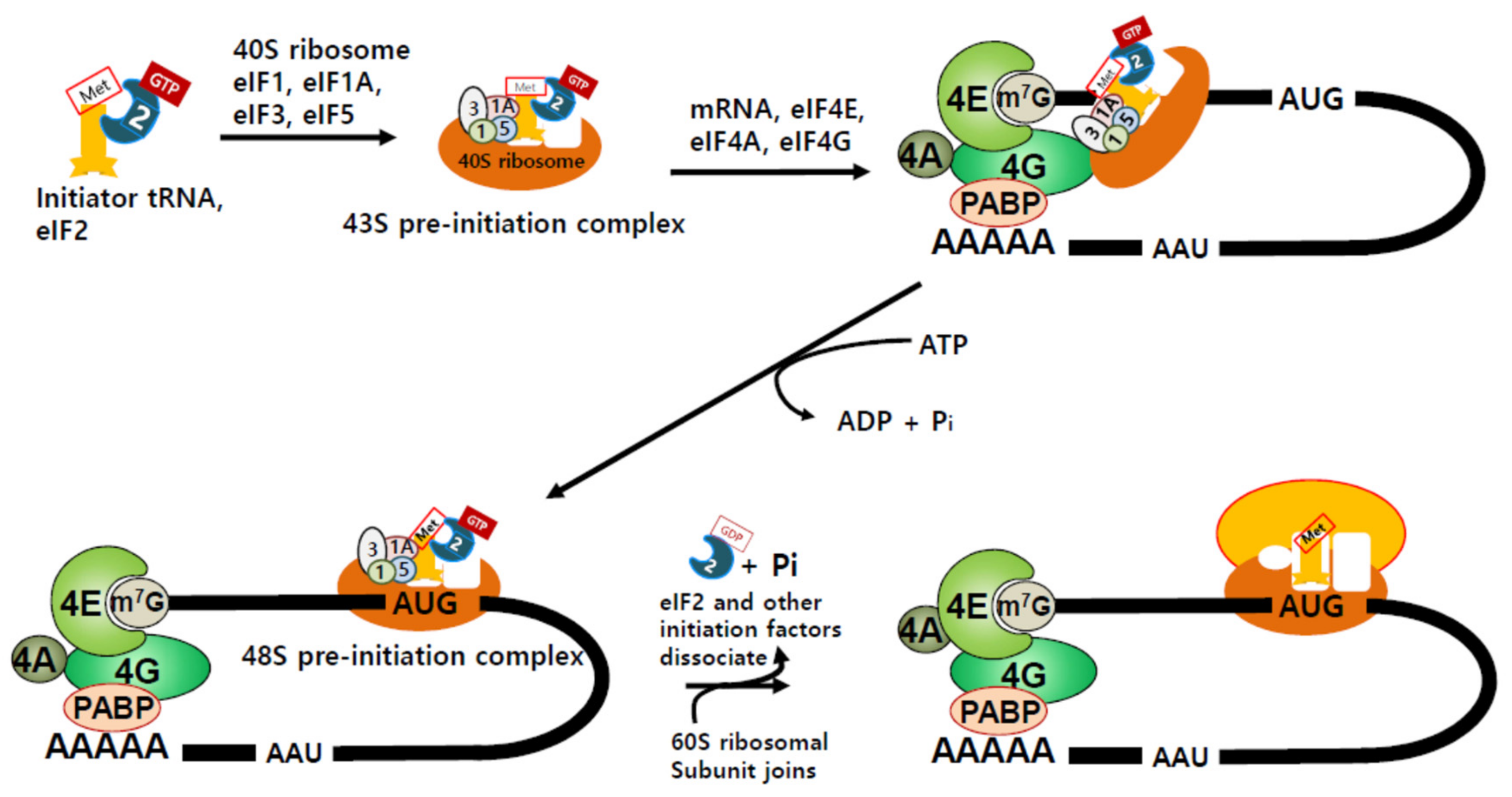 Biomolecules 09 00665 g001