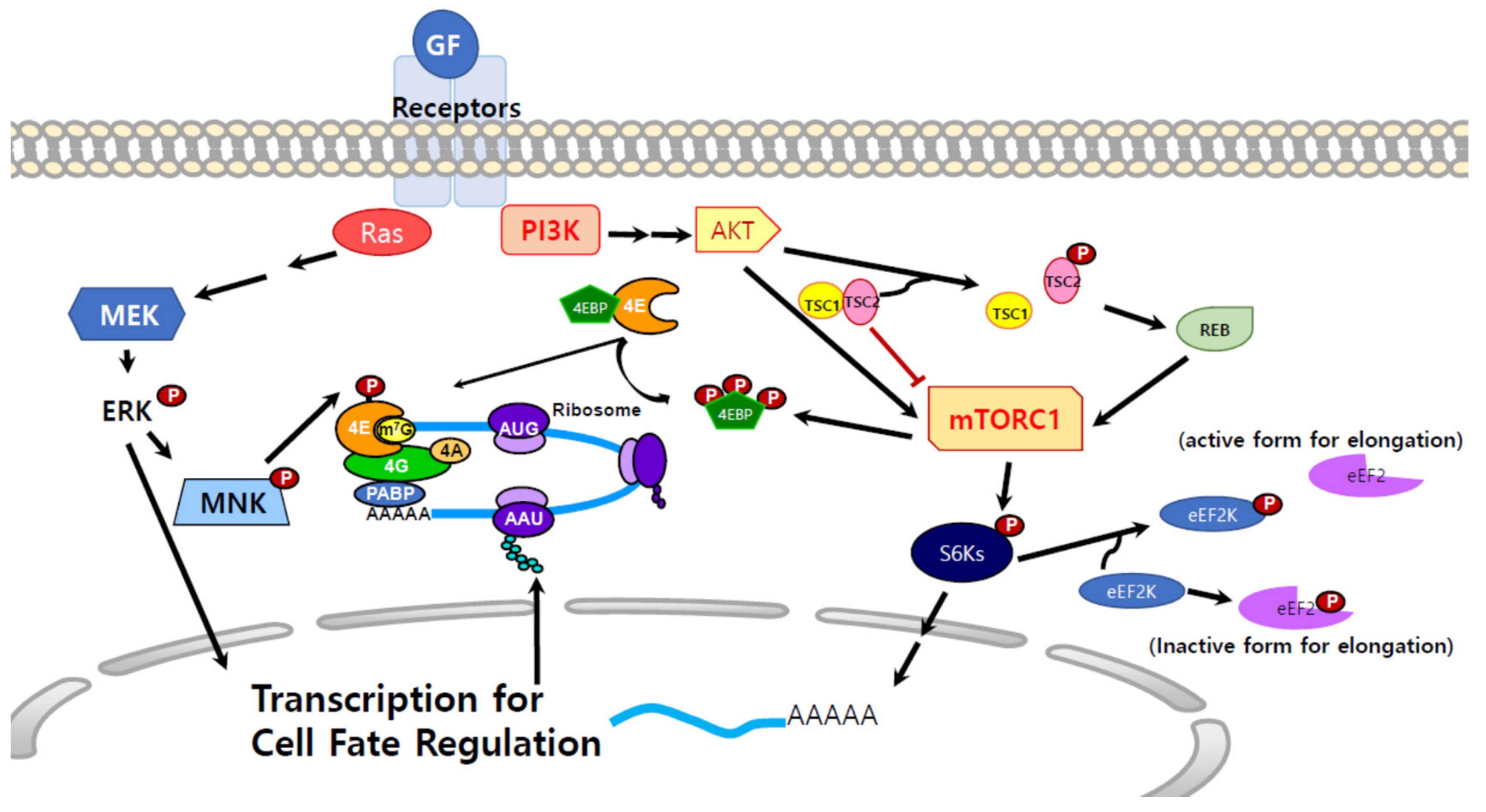 Biomolecules 09 00665 g002