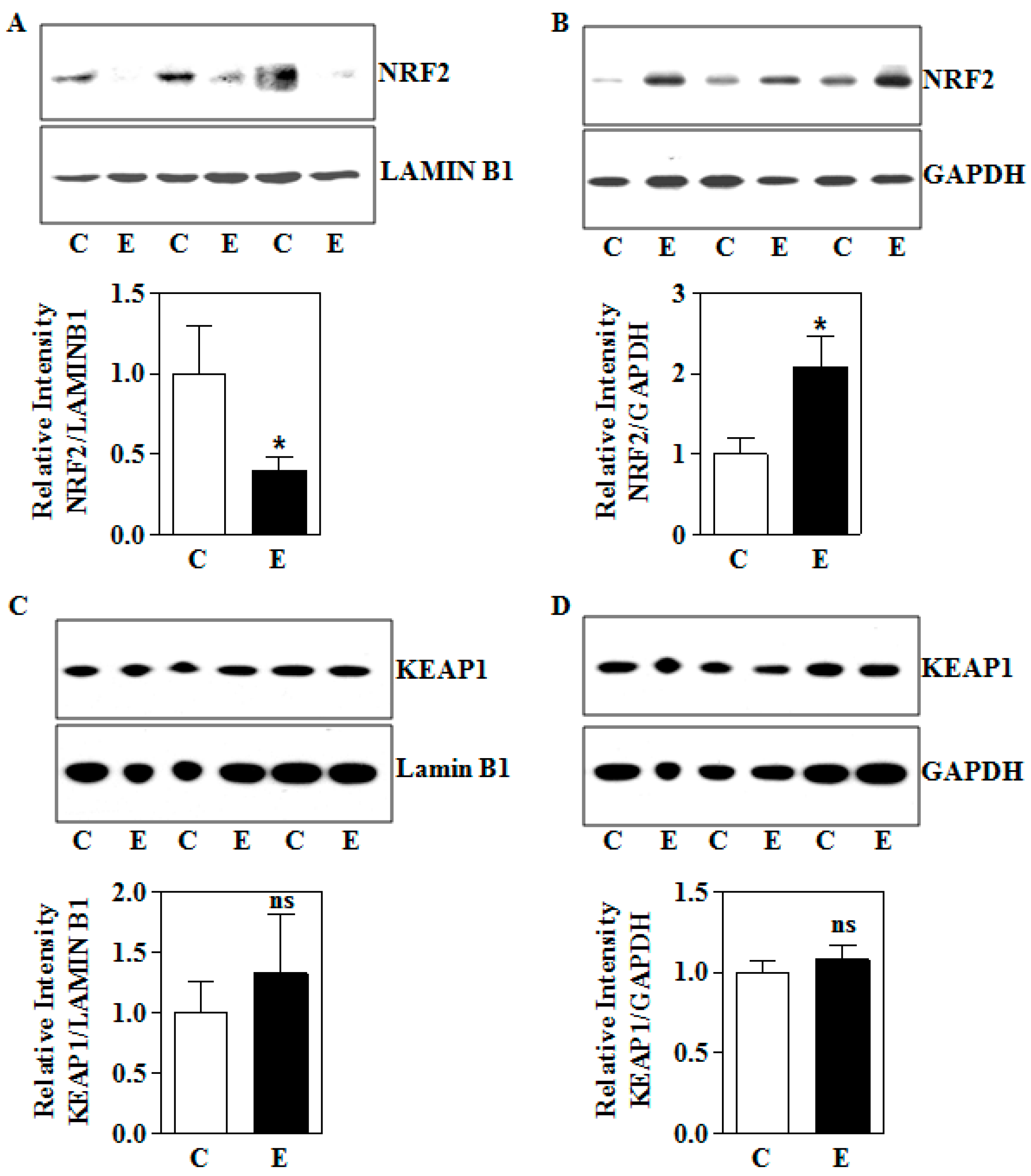 Biomolecules 09 00669 g003 Biomolecules 09 00669 g003