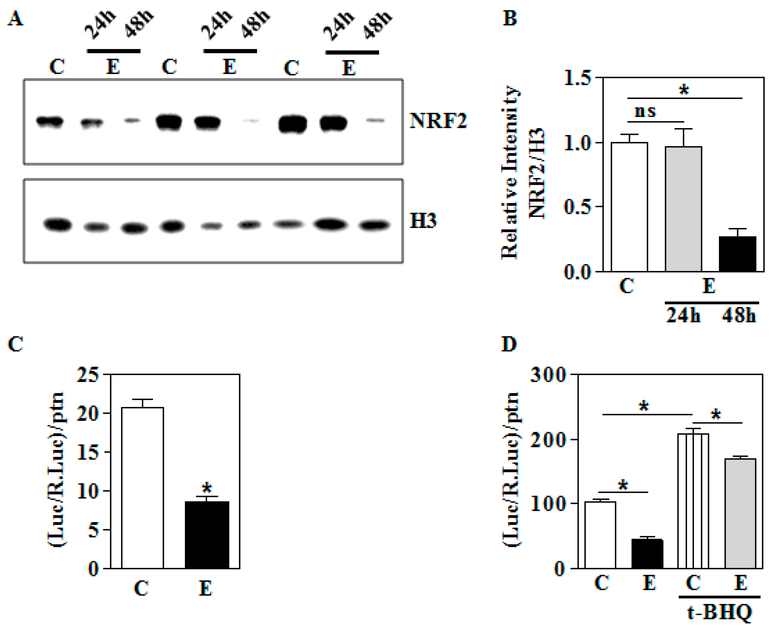 Biomolecules 09 00669 g005 Biomolecules 09 00669 g005