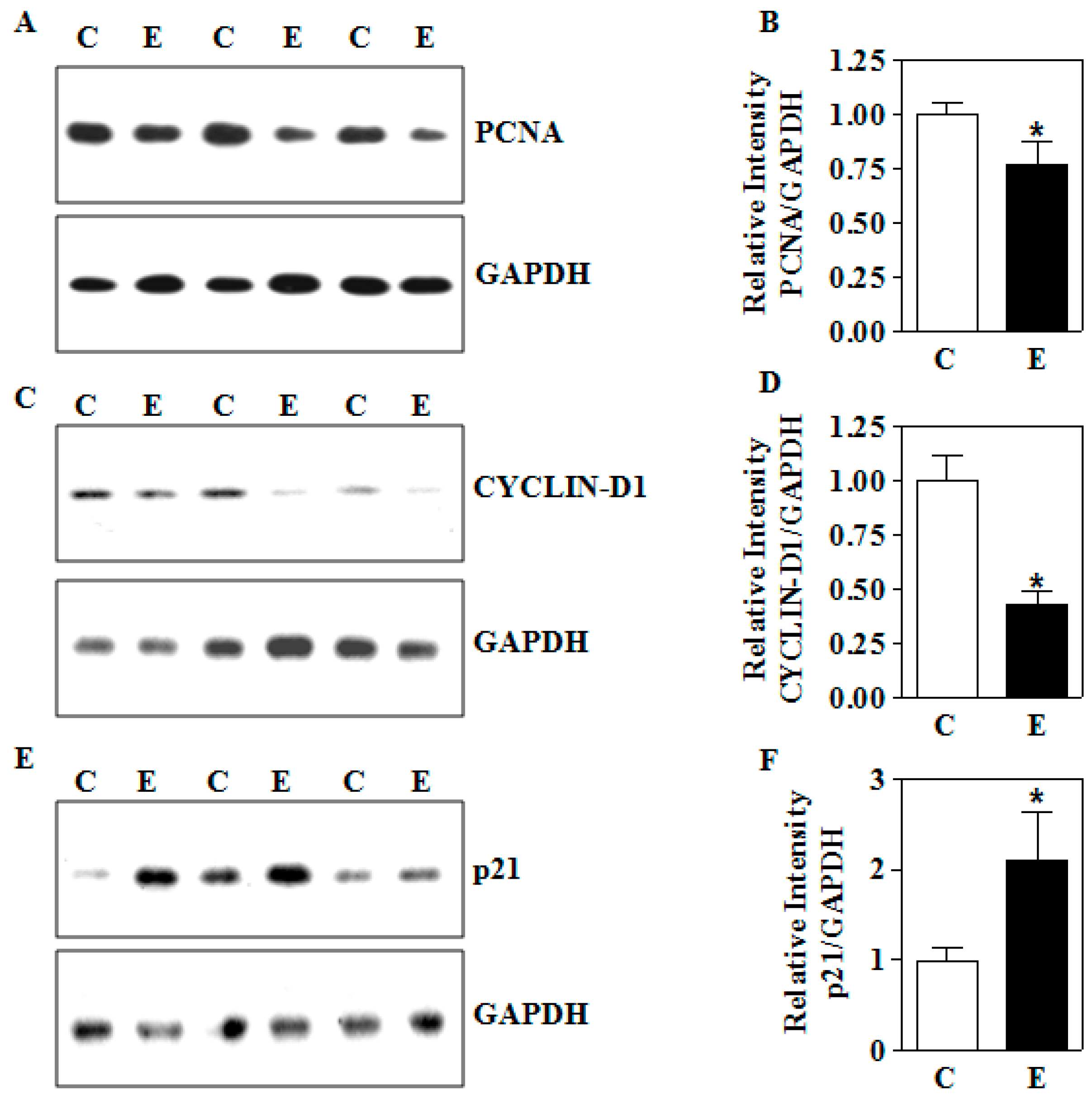 Biomolecules 09 00669 g007 Biomolecules 09 00669 g007