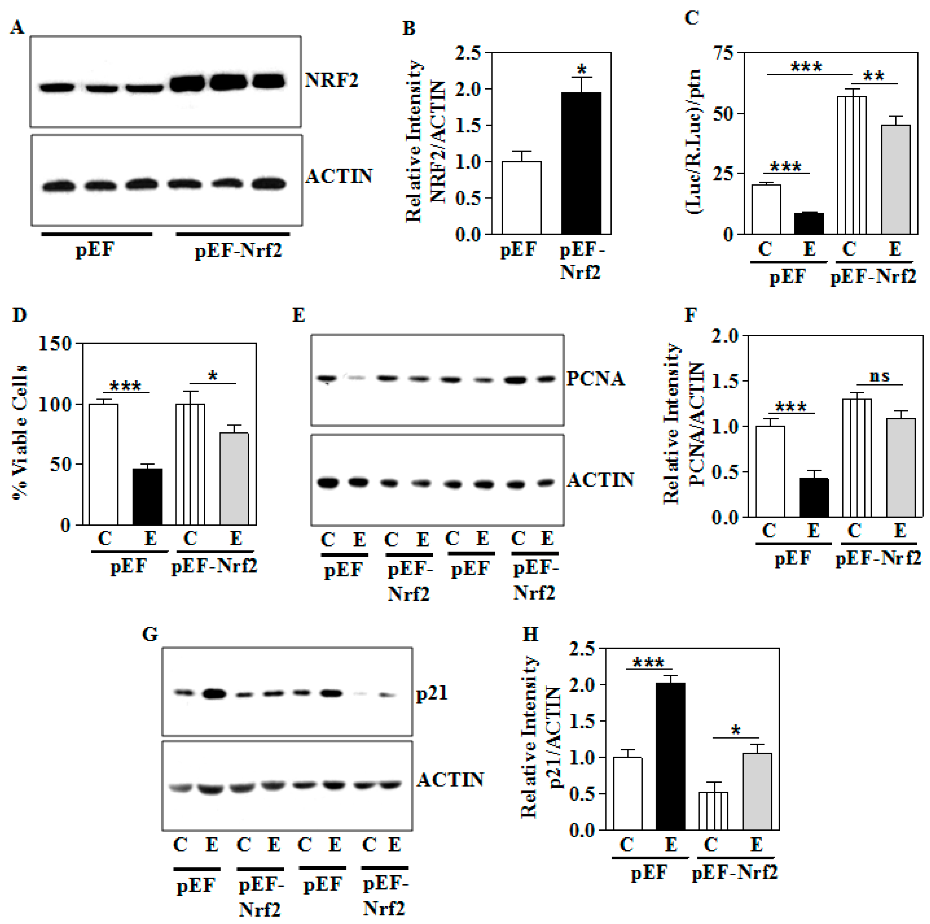 Biomolecules 09 00669 g008 Biomolecules 09 00669 g008