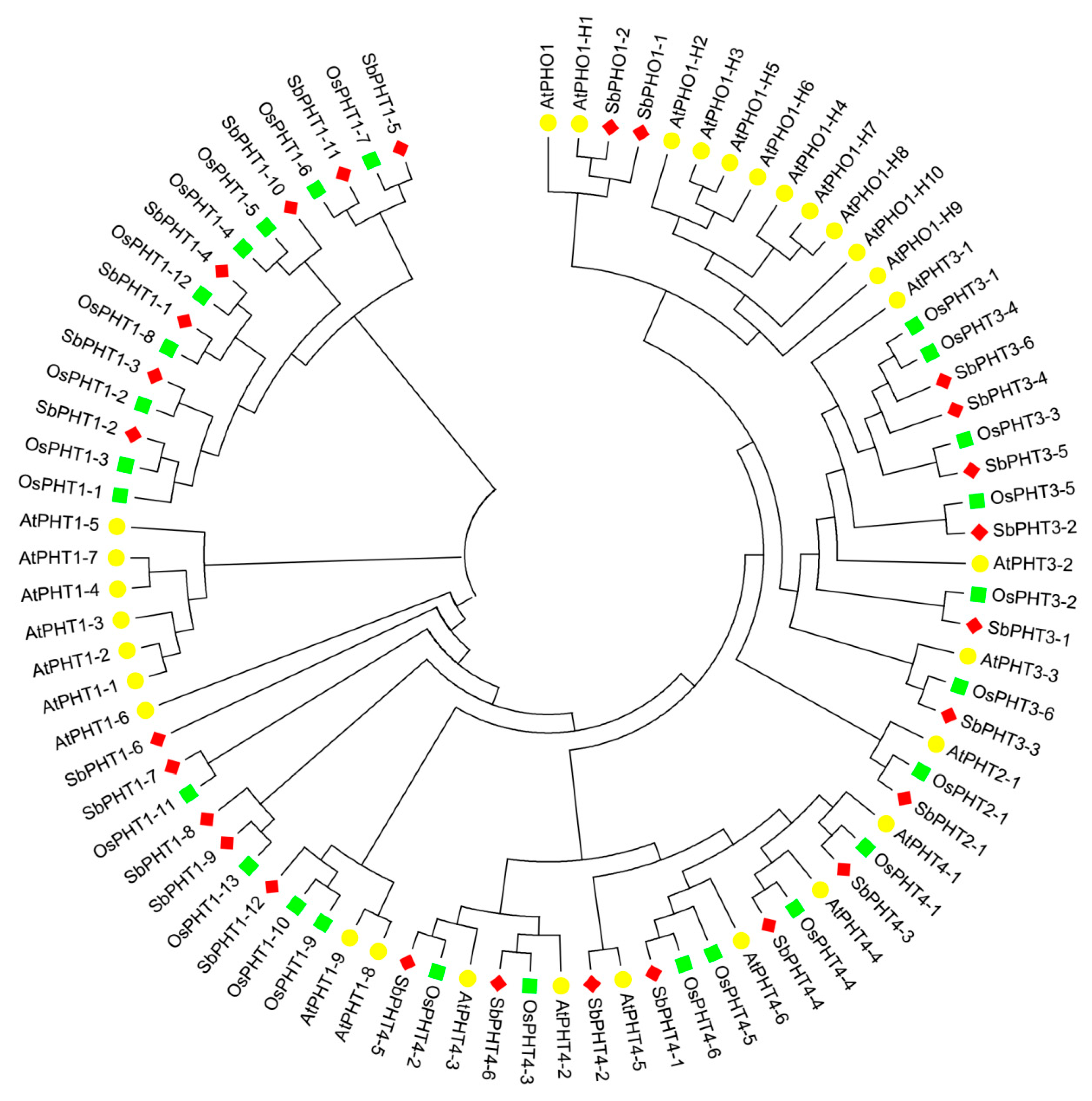 Biomolecules 09 00670 g001 Biomolecules 09 00670 g001
